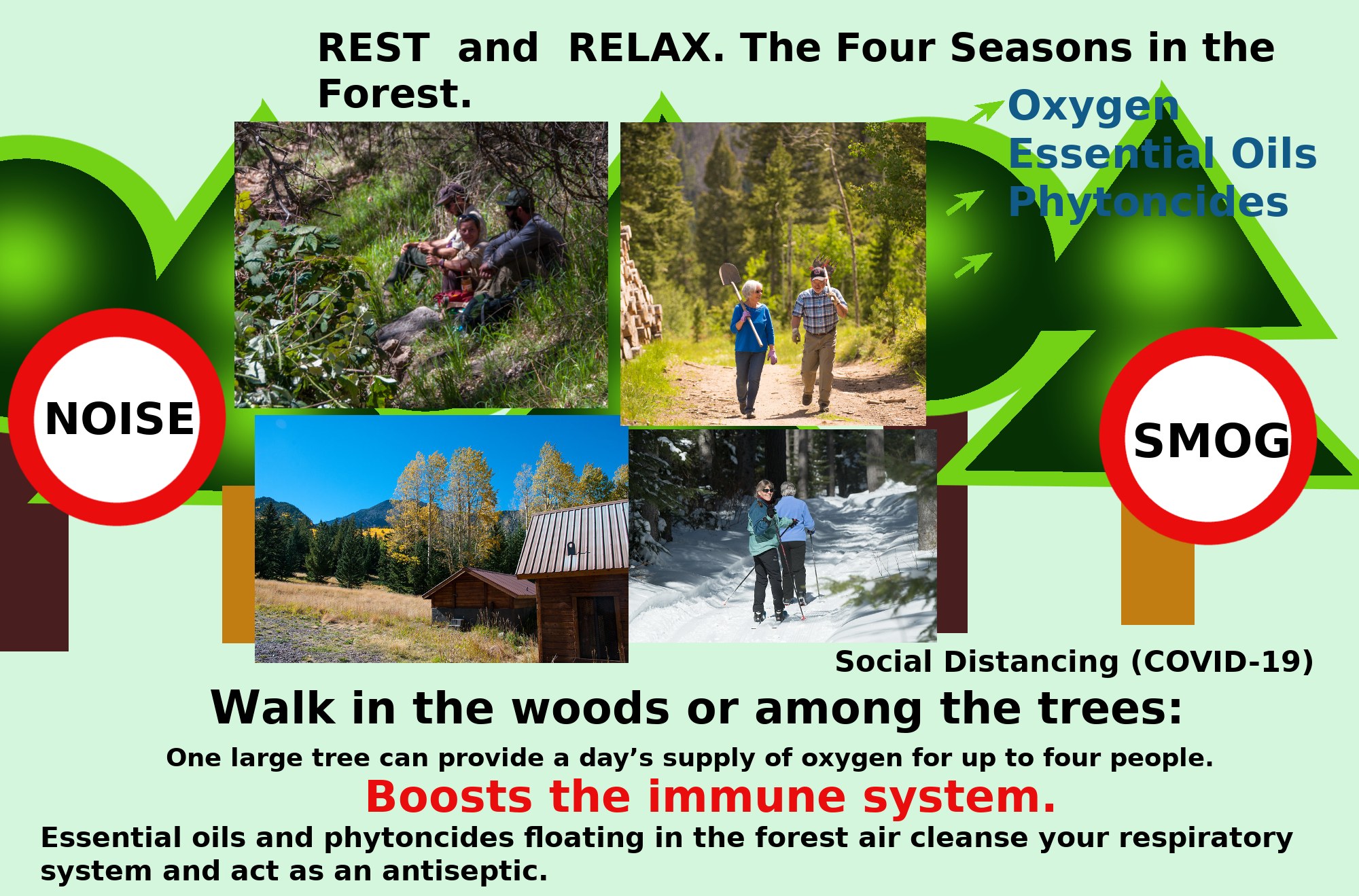 Plakat mit Bildern von Menschen, die in einem bewaldeten Gebiet in der Nähe eines Hauses spazieren gehen, um Entspannung in der Natur mit dem Text "Ruhen und Entspannen die vier Jahreszeiten im Wald." zu fördern