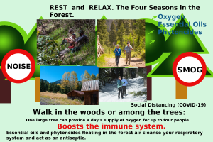 Plakat mit Bildern von Menschen, die in einem bewaldeten Gebiet in der Nähe eines Hauses spazieren gehen, um Entspannung in der Natur mit dem Text "Ruhen und Entspannen die vier Jahreszeiten im Wald." zu fördern