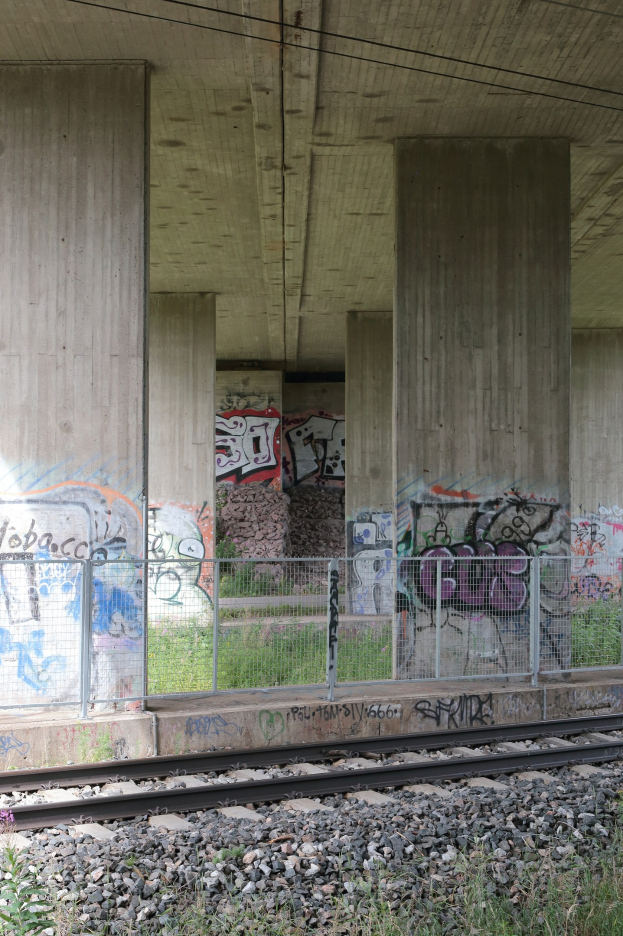 Eisenbahnschiene mit Graffiti an der Seite, von Steinen, Gras, einem Zaun, Pfeilern, Drähten und einem Dach umgeben.