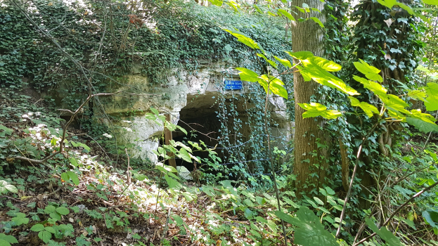 Kleine Höhle in einem bewaldeten Gebiet mit efeuüberwucherter Eingang, umgeben von Bäumen, Pflanzen und trockenen Blättern, mit einer Tafel in der Nähe.