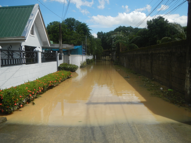 Überschwemmte Wohnstraße mit Wasser auf der Straße, blühende Pflanzen links, eine Wand rechts, Gebäude, Bäume, Strommasten mit Drähten und bewölkten Himmel im Hintergrund.
