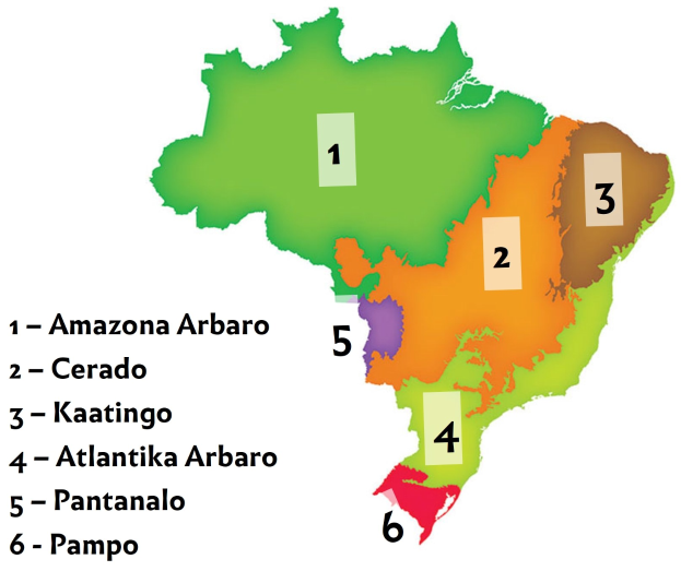 Karte von Brasilien mit Provinzen in verschiedenen Farben hervorgehoben, die die Amazonas-Region auf der linken Seite zeigt.