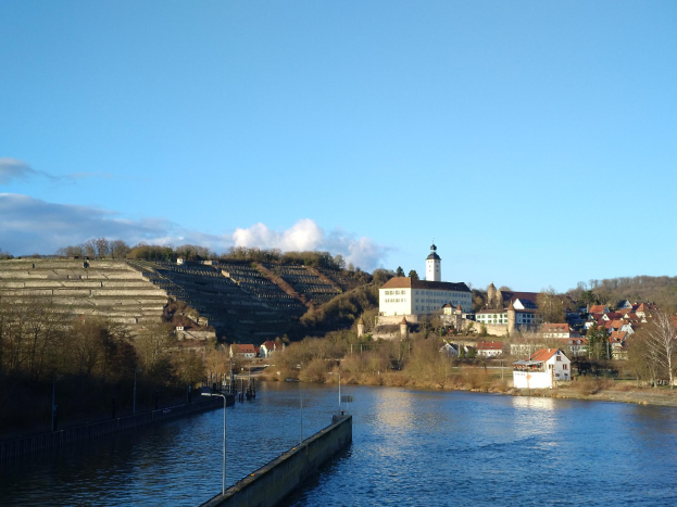 Ein malerischer Blick auf den Rhein in Deutschland, mit einer Brücke, die den Fluss überspannt, Laternenmasten an den Ufern, Bäumen und Gebäuden entlang der Flussufer und einem Hügel im Hintergrund unter einem bewölkten Himmel.