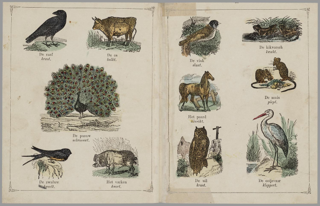 Offenes Buch mit Illustrationen niederländischer Tiere, Vögel und Pflanzen sowie begleitendem Text.