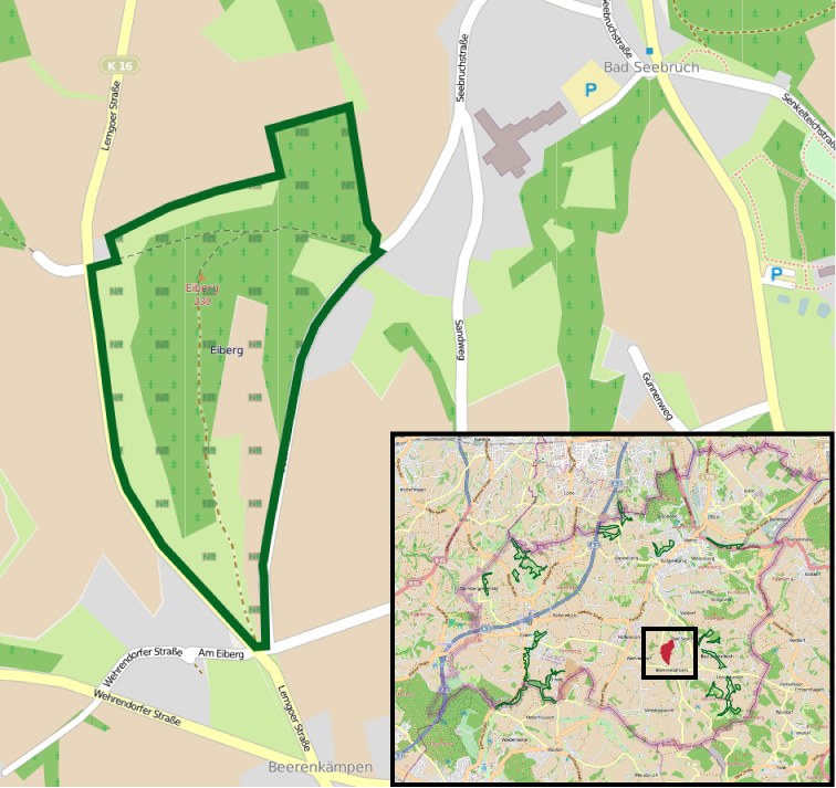 Ein detaillierter Stadtplan, der einen zentralen grünen Bereich markiert, der für eine geplante Entwicklung vorgesehen ist, mit umliegenden Straßen, Gebäuden und Sehenswürdigkeiten.