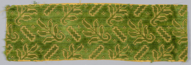 Algacore-Projekt des Fachbereichs Textil- und Bekleidungstechnologie an der Niederrheinischen Hochschule - Kleidung aus Algen in der Zukunft?