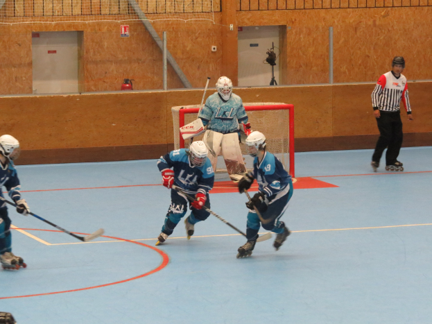 Gruppe von Menschen, die Eis-hockey auf einer Indoor-Eisbahn spielen, mit Helmen, Schlittschuhen und Hockey-Schlägern, mit einer Maschendrahtwand und Türen im Hintergrund.