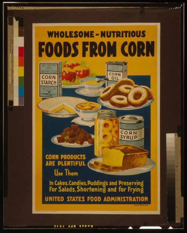 Buntes Plakat der United States Food Administration mit Bildern von Obst, Gemüse, Getreide und Milchprodukten und der schwarzen Schrift "Gesunde-Nährstoffreiche Lebensmittel aus Mais" auf hellblauem Hintergrund.
