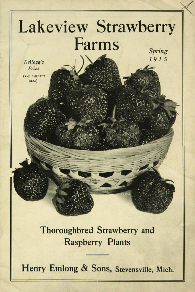 Plakat aus dem Frühjahr 1915 für Lakeview Erdbeerfarmen mit einem Korb reifer roter Erdbeeren und dem Text "Zuchtstamm Erdbeeren und Himbeeren."