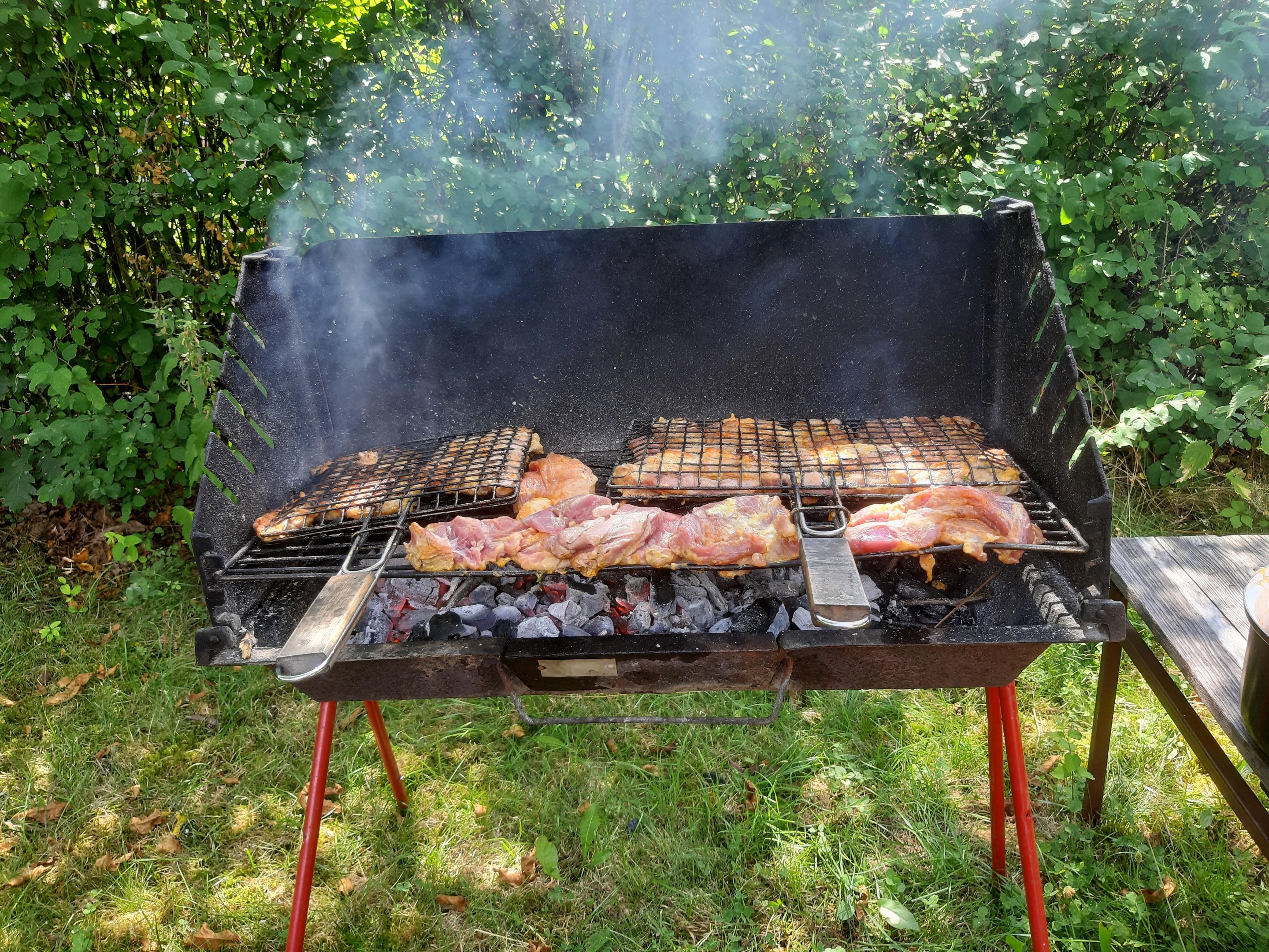 Grill mit bratendem Fleisch auf der Wiese, umgeben von Bäumen und einem Tisch mit einer Schüssel und Gegenständen rechts.