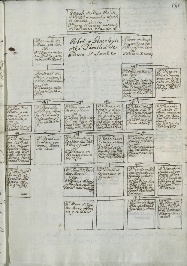 Offenes Buch zeigt eine handgezeichnete Familiengeschichte zwischen dichtem Text und numerischen Einträgen.