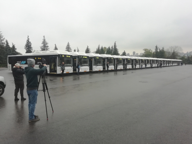 Eine Gruppe von Menschen, die Fotos von einer Reihe von Bussen auf einer Straße mit Bäumen, Gebäuden und einem klaren blauen Himmel im Hintergrund machen