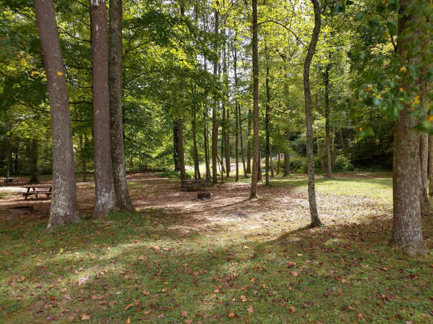 Ein Park mit verstreuten Bänken unter Bäumen, die ein Mix aus Herbstlaub in Orange, Gelb, Rot und Brauntönen zeigen.