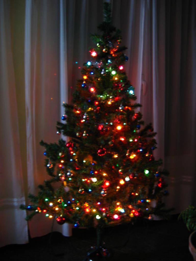 Ein mit Lichtern geschm├╝ckter Weihnachtsbaum, mit einem Vorhang und einer Topfpflanze im Hintergrund.